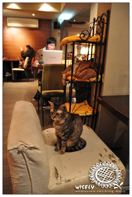 【攝影】2009.01.04 極簡咖啡廳貓咪隨拍(已歇業)