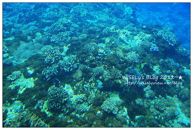 【遊玩】2012台東綠島遊：輕鬆乘坐半潛玻璃船，來看海底裏太空的珊瑚美景