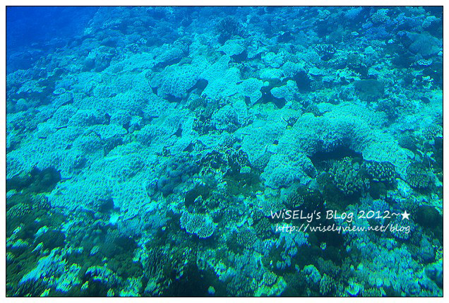 【遊玩】2012台東綠島遊：輕鬆乘坐半潛玻璃船，來看海底裏太空的珊瑚美景