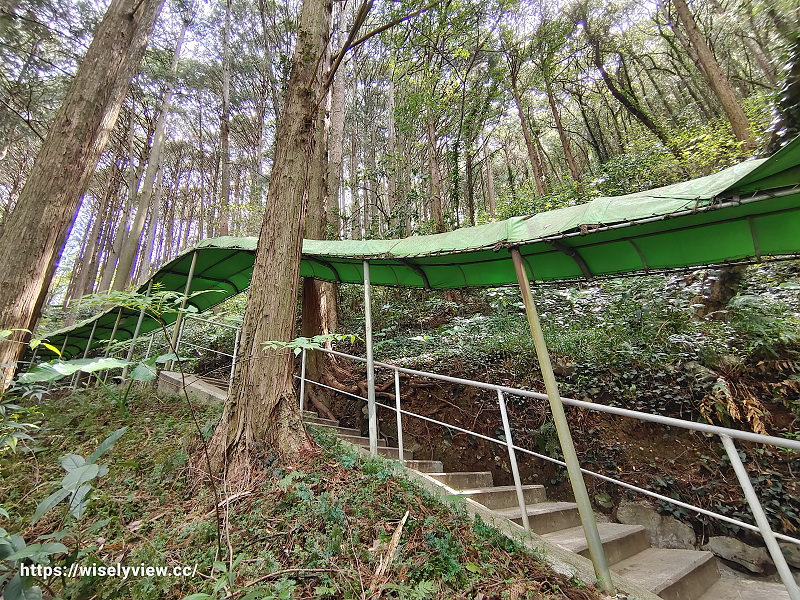 高知香美。龍河洞︱日本三大鐘乳石洞秘境，穿越億萬年時光的壯闊絕景～免費參觀龍河洞物館