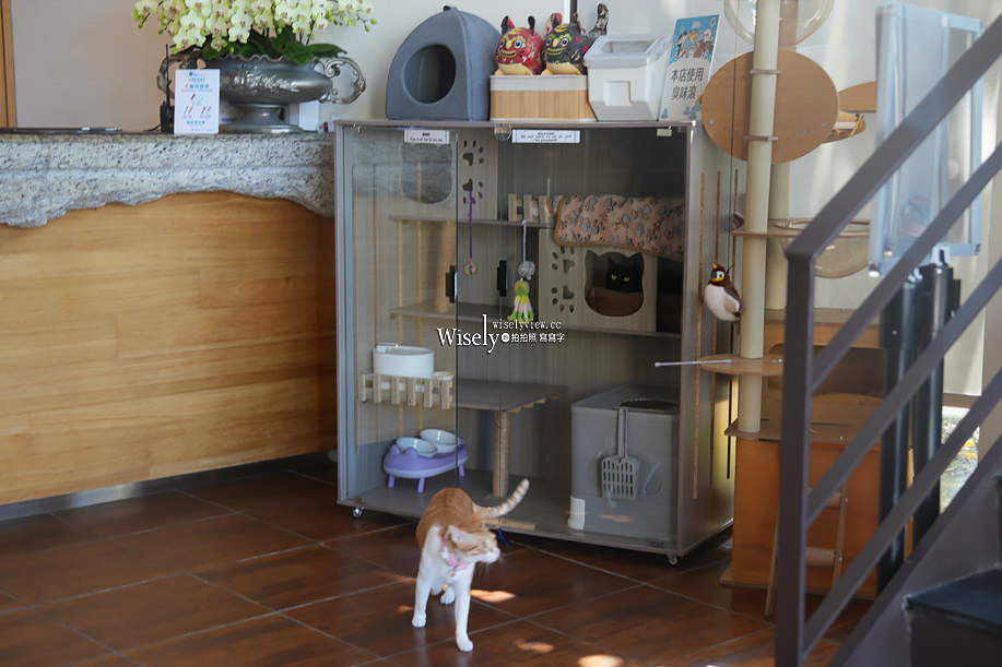 力麗循路麓咖啡廳︱日月潭景觀餐廳︱伊達邵遊客中心︱咖啡茶飲輕食 力麗循路麓咖啡廳︱日月潭景觀餐廳︱伊達邵遊客中心︱咖啡茶飲輕食