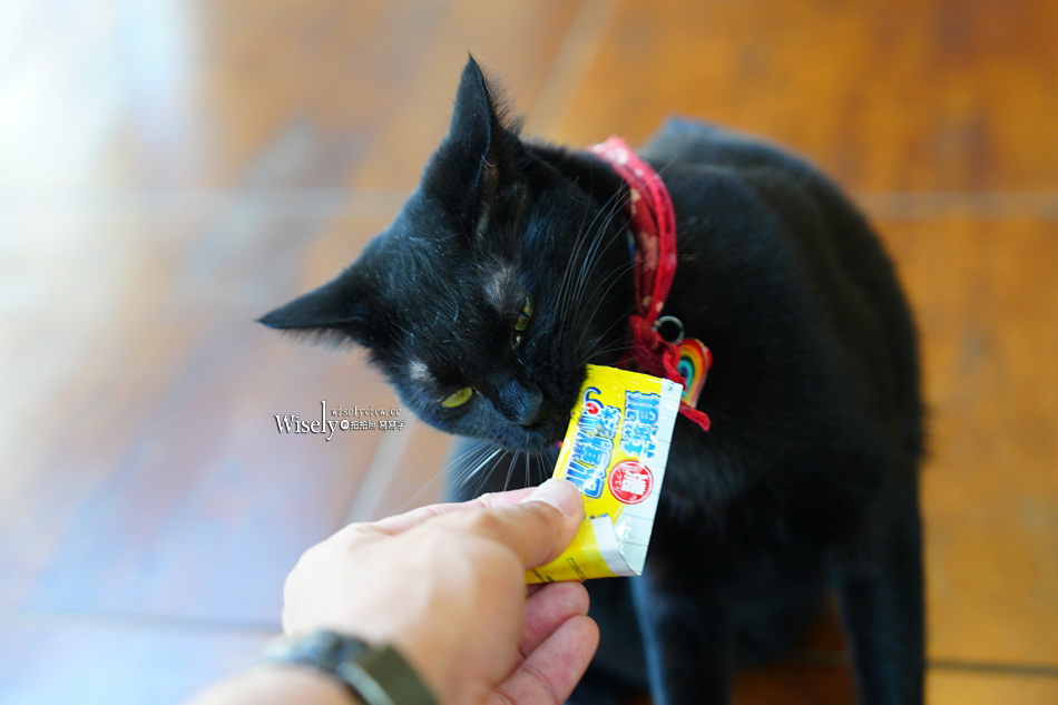 力麗循路麓咖啡廳︱日月潭景觀餐廳︱伊達邵遊客中心︱咖啡茶飲輕食 力麗循路麓咖啡廳︱日月潭景觀餐廳︱伊達邵遊客中心︱咖啡茶飲輕食