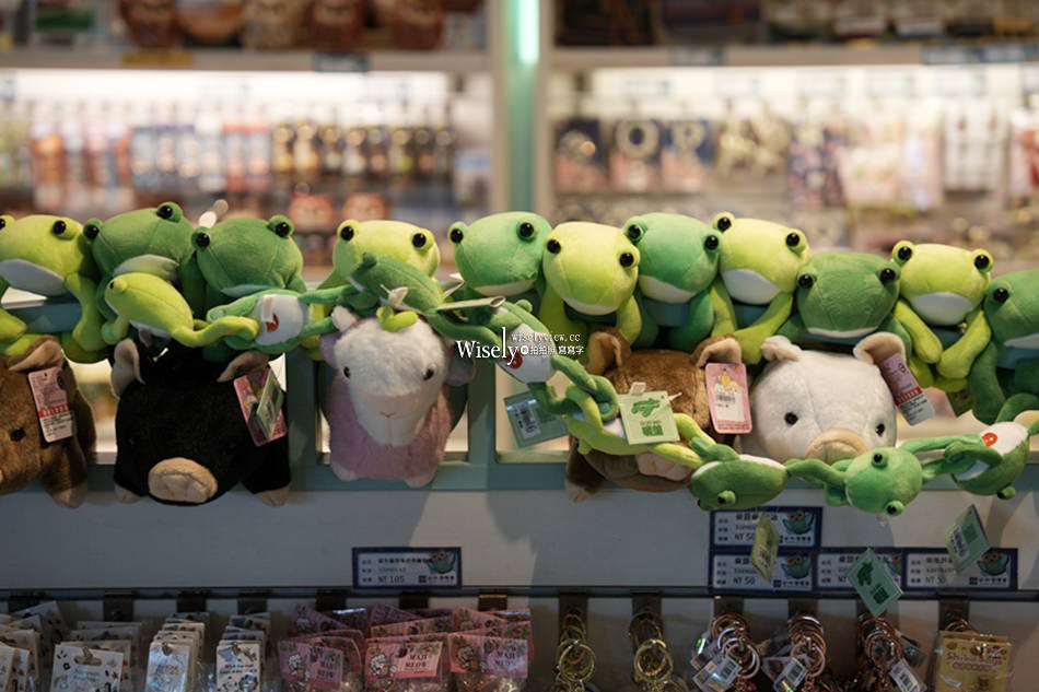 南投。日月潭纜車_旅遊攻略︱車站、票價、時間、餐廳、景點