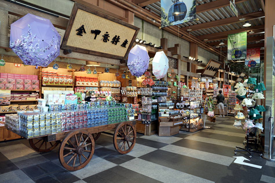 南投。日月潭纜車_旅遊攻略︱車站、票價、時間、餐廳、景點