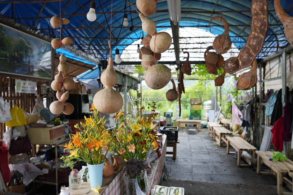 日月潭金針花園區︱南投頭社金針花海活盆地︱五月限定3公頃七彩金針花