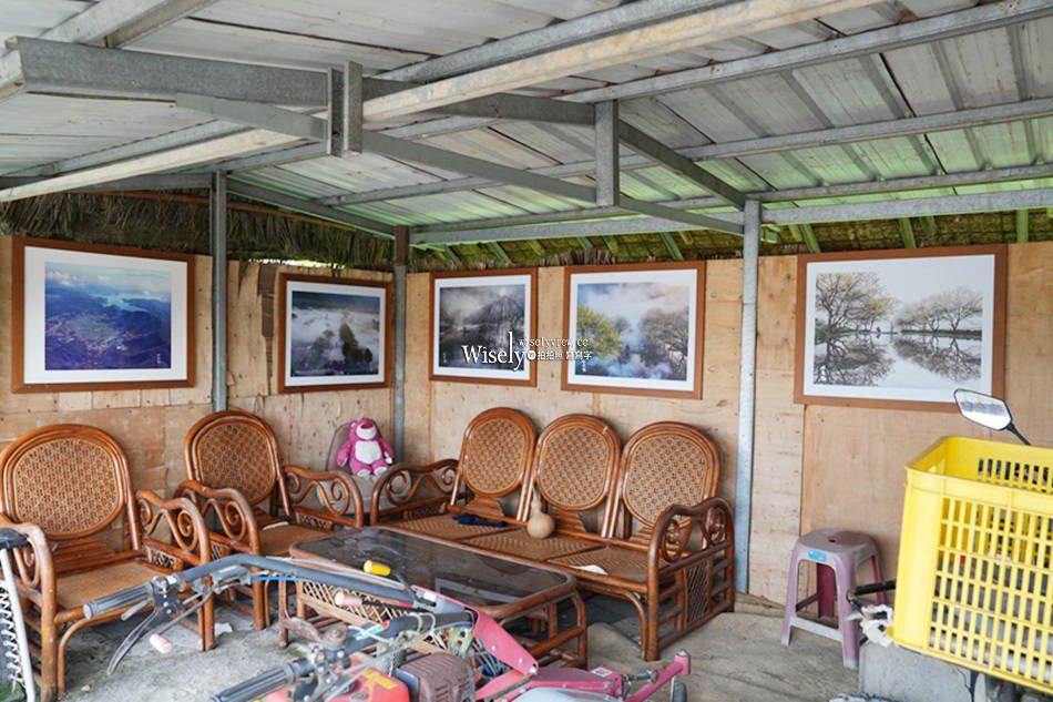 日月潭金針花園區︱南投頭社金針花海活盆地︱五月限定3公頃七彩金針花