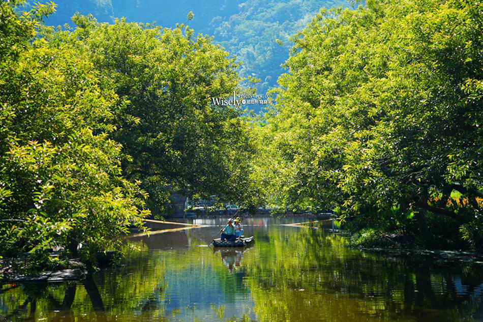 日月潭金針花園區︱南投頭社金針花海活盆地︱五月限定3公頃七彩金針花