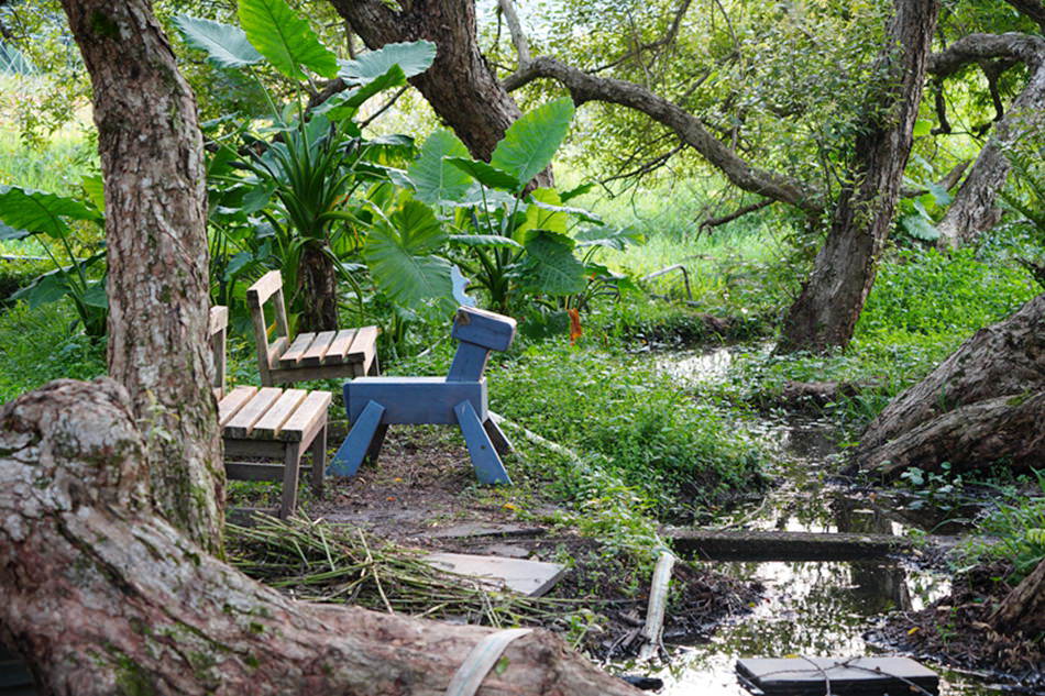 日月潭金針花園區︱南投頭社金針花海活盆地︱五月限定3公頃七彩金針花