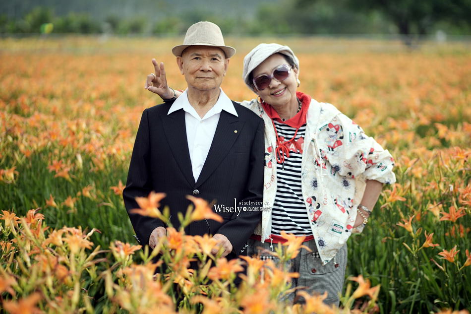 日月潭金針花園區︱南投頭社金針花海活盆地︱五月限定3公頃七彩金針花