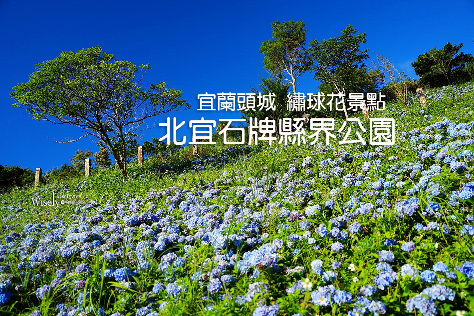 宜蘭頭城繡球花景點︱北宜石牌縣界公園︱九彎十八拐遠眺蘭陽平原＆龜山島
