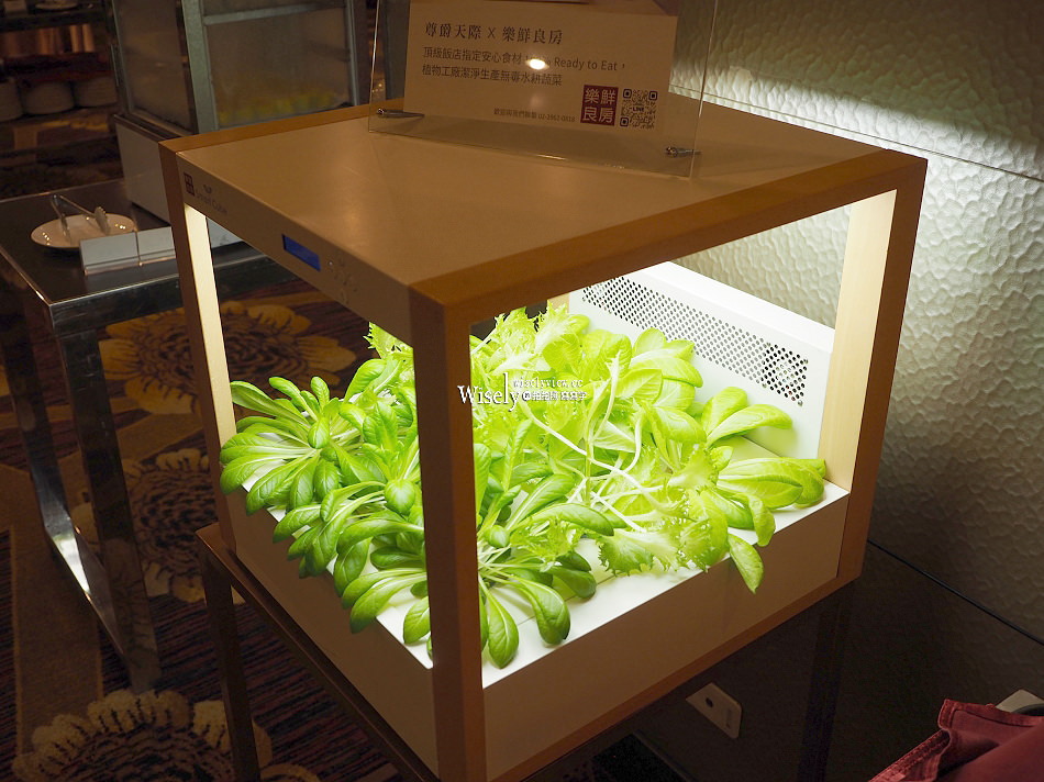 尊爵天際大飯店︱四百多元自助早餐吃到飽,水耕無毒蔬菜好新鮮 尊爵天際大飯店︱四百多元自助早餐吃到飽,水耕無毒蔬菜好新鮮