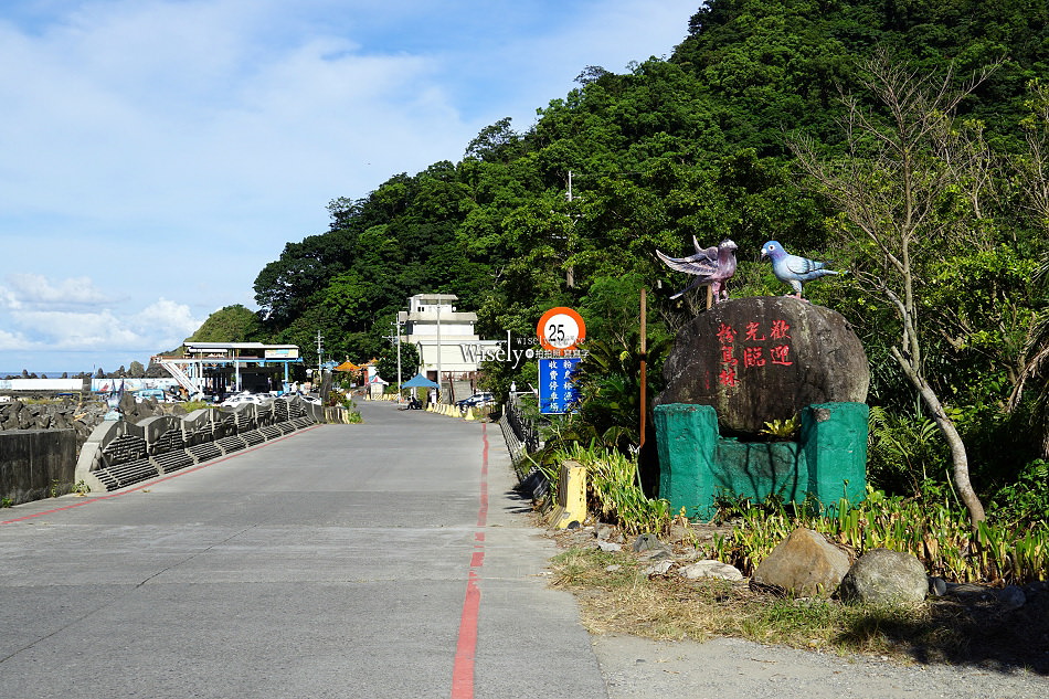 宜蘭 東澳粉鳥林秘境︱台版淨土之濱美景︱蘇澳烏石鼻僻靜漁港︱交通資訊