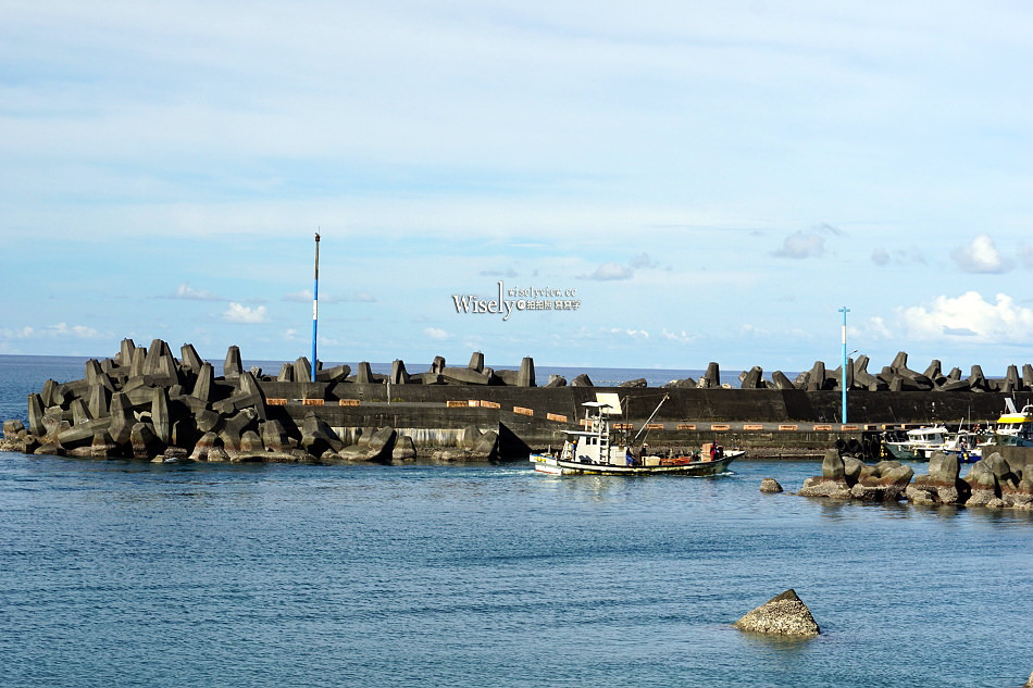 宜蘭 東澳粉鳥林秘境︱台版淨土之濱美景︱蘇澳烏石鼻僻靜漁港︱交通資訊