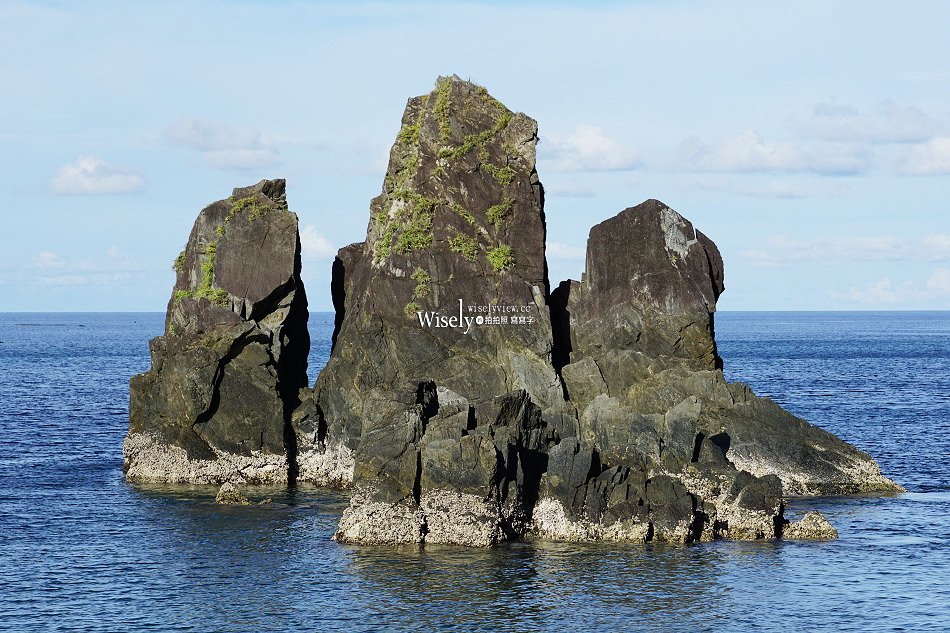 宜蘭 東澳粉鳥林秘境︱台版淨土之濱美景︱蘇澳烏石鼻僻靜漁港︱交通資訊