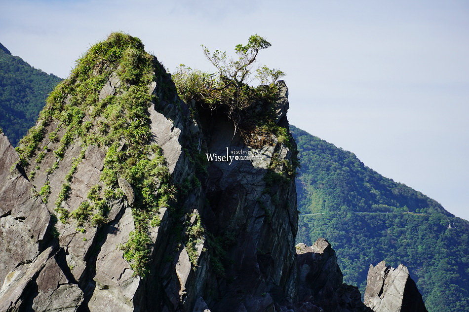 宜蘭 東澳粉鳥林秘境︱台版淨土之濱美景︱蘇澳烏石鼻僻靜漁港︱交通資訊