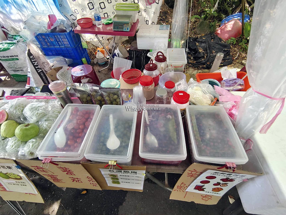 礁溪香腸伯 菜單交通︱潤餅大腸包小腸︱跑馬古道.五峰旗瀑布︱宜蘭美食