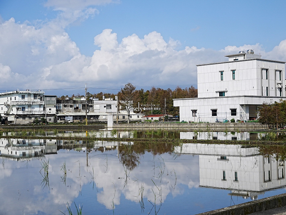 壯圍落羽松︱宜蘭落羽松秘境︱停車時間拍攝心得︱環道水池粼粼倒影美景