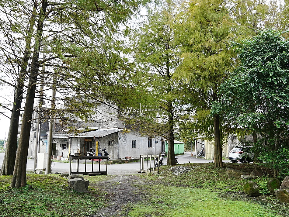 壯圍落羽松︱宜蘭落羽松秘境︱停車時間拍攝心得︱環道水池粼粼倒影美景