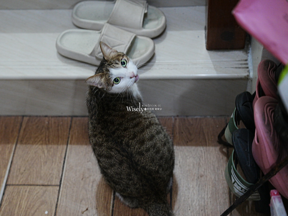 礁溪 劉家早點︱粉漿蛋餅.奶油脆皮.豆漿咖啡.煎肉包︱宜蘭貓餐廳