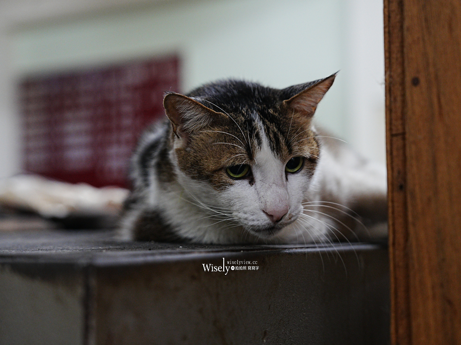 礁溪 劉家早點︱粉漿蛋餅.奶油脆皮.豆漿咖啡.煎肉包︱宜蘭貓餐廳