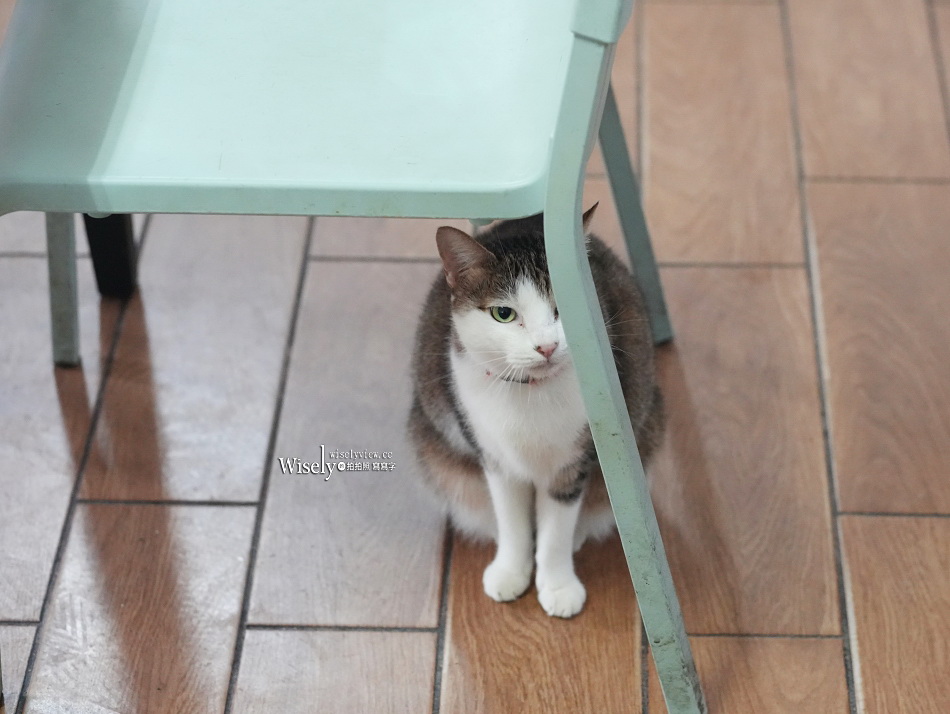 礁溪 劉家早點︱粉漿蛋餅.奶油脆皮.豆漿咖啡.煎肉包︱宜蘭貓餐廳