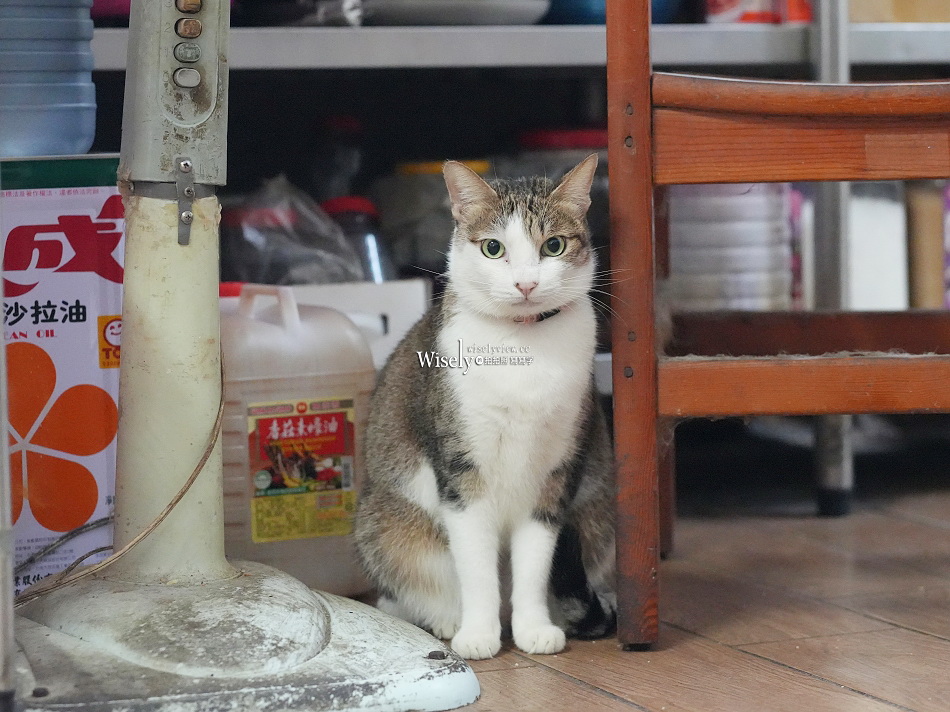 礁溪 劉家早點︱粉漿蛋餅.奶油脆皮.豆漿咖啡.煎肉包︱宜蘭貓餐廳