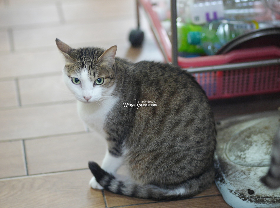 礁溪 劉家早點︱粉漿蛋餅.奶油脆皮.豆漿咖啡.煎肉包︱宜蘭貓餐廳