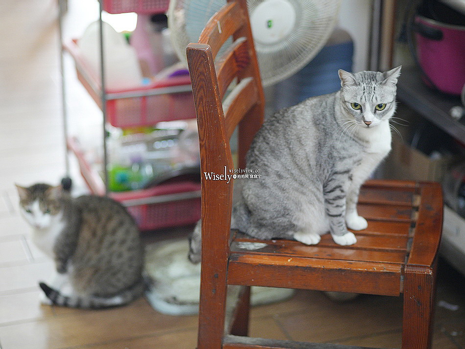 礁溪 劉家早點︱粉漿蛋餅.奶油脆皮.豆漿咖啡.煎肉包︱宜蘭貓餐廳