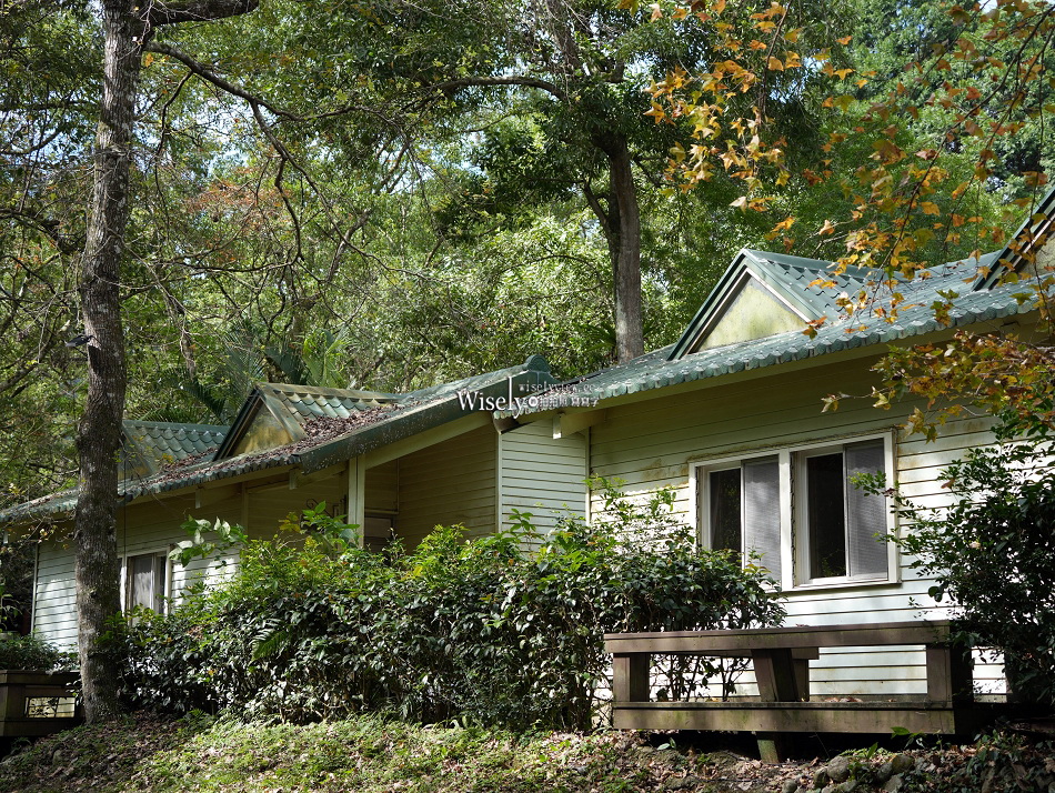 沁香鍋物 2.0 悟空探香｜西遊記主題限定調香暖鍋｜力麗馬告生態園區
