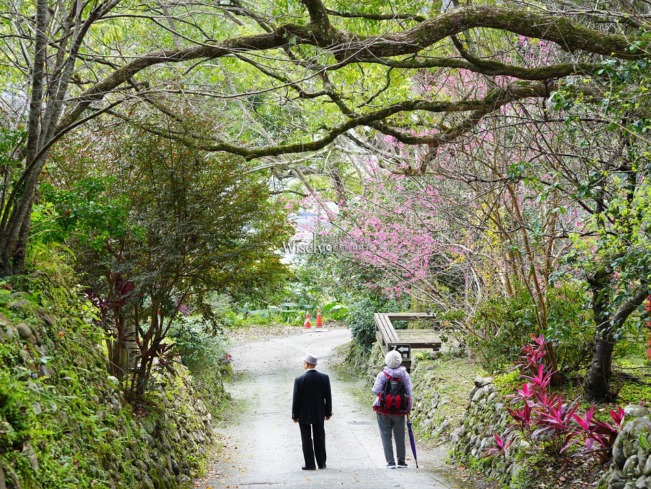 沁香鍋物 2.0 悟空探香｜西遊記主題限定調香暖鍋｜力麗馬告生態園區