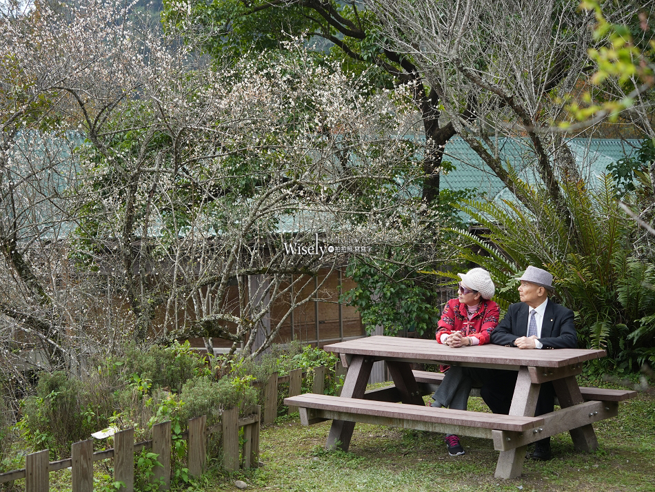 沁香鍋物 2.0 悟空探香｜西遊記主題限定調香暖鍋｜力麗馬告生態園區
