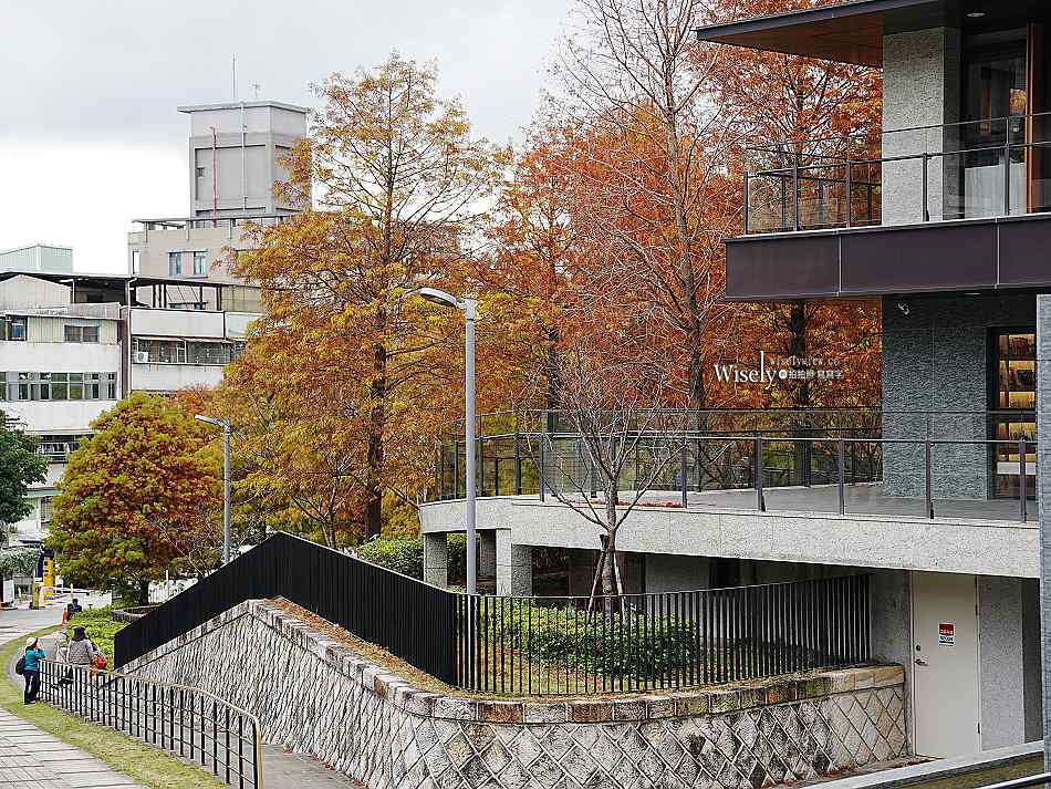 北投行天宮落羽松︱觸手可及的冬季緋紅庭園︱台北落羽松景點