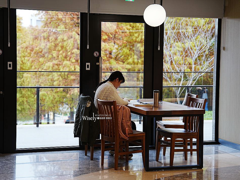 北投行天宮落羽松︱觸手可及的冬季緋紅庭園︱台北落羽松景點
