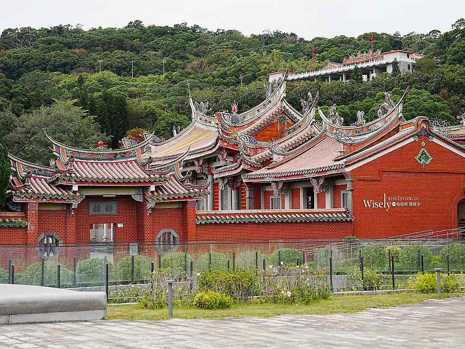 北投行天宮落羽松︱觸手可及的冬季緋紅庭園︱台北落羽松景點