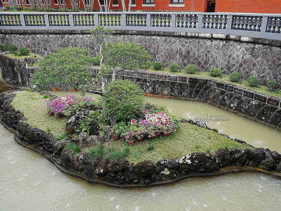 北投行天宮落羽松︱觸手可及的冬季緋紅庭園︱台北落羽松景點