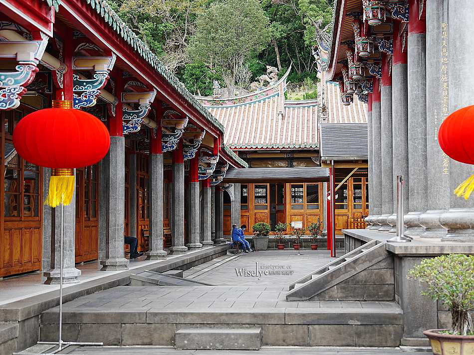 北投行天宮落羽松︱觸手可及的冬季緋紅庭園︱台北落羽松景點