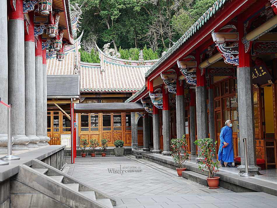 北投行天宮落羽松︱觸手可及的冬季緋紅庭園︱台北落羽松景點