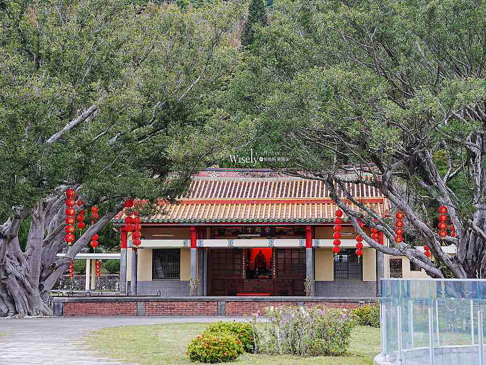 北投行天宮落羽松︱觸手可及的冬季緋紅庭園︱台北落羽松景點