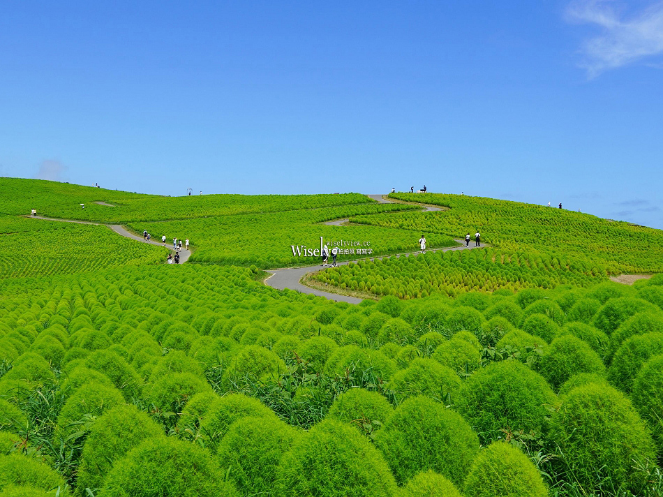 茨城.IBARAKI︱探索日本關東近郊景點美食交通 茨城.IBARAKI︱探索日本關東近郊景點美食交通