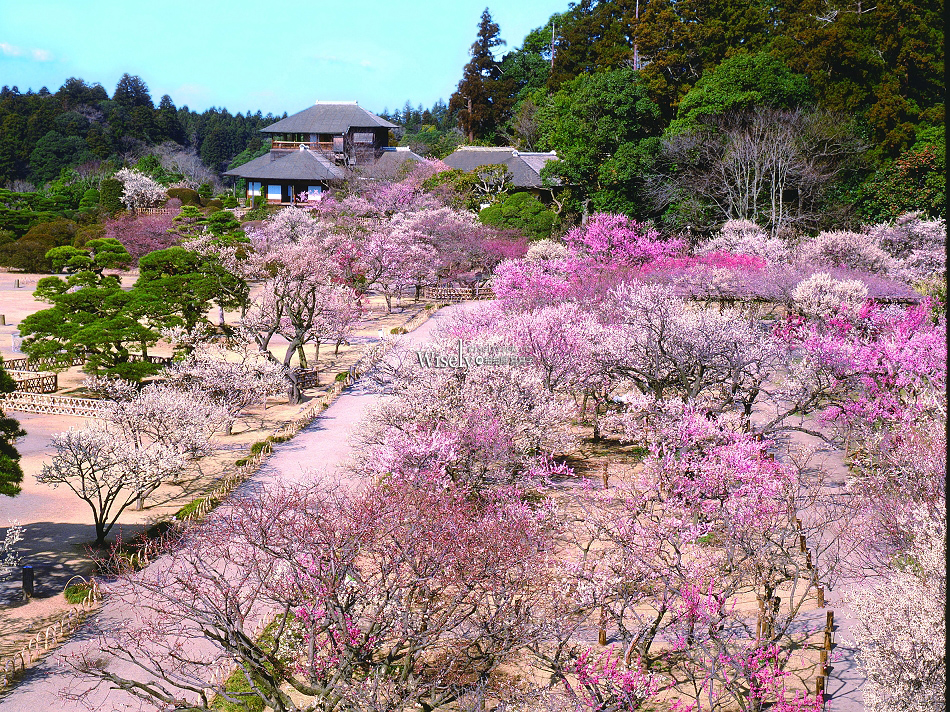 茨城.IBARAKI︱探索日本關東近郊景點美食交通 茨城.IBARAKI︱探索日本關東近郊景點美食交通