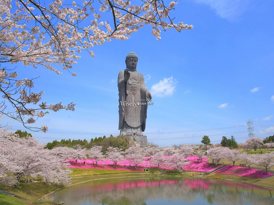茨城.IBARAKI︱探索日本關東近郊景點美食交通 茨城.IBARAKI︱探索日本關東近郊景點美食交通